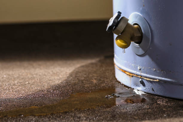 Best Ceiling water damage repair  in West Haven, UT
