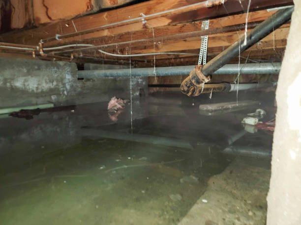 Reliable UT Water damage restoration Solutions