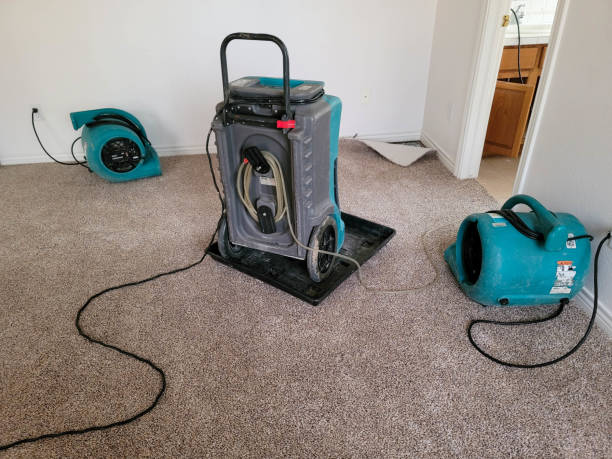 Best Local water damage restoration  in West Haven, UT
