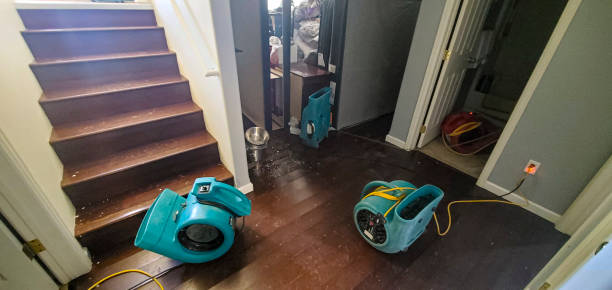 Best 24/7 water damage repair  in West Haven, UT
