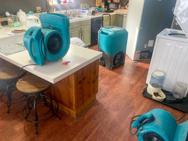 Best Basement water damage restoration  in West Haven, UT
