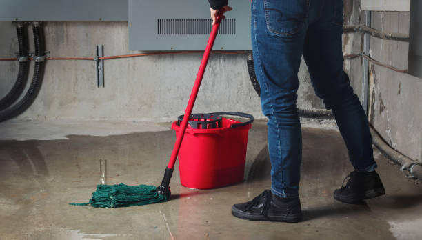 Best Residential water damage restoration  in West Haven, UT