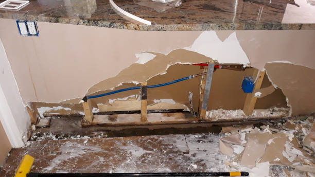 Best Mold removal after water damage  in West Haven, UT