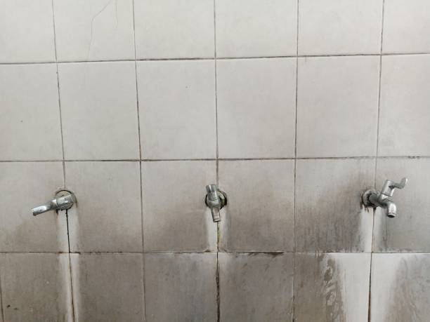 Best Flood damage cleanup  in West Haven, UT