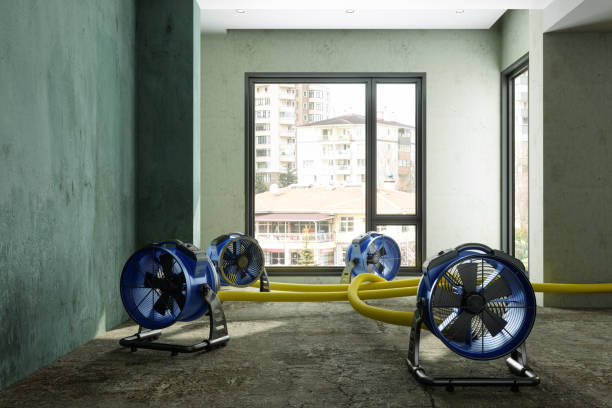 Best Water damage contractors near me  in West Haven, UT
